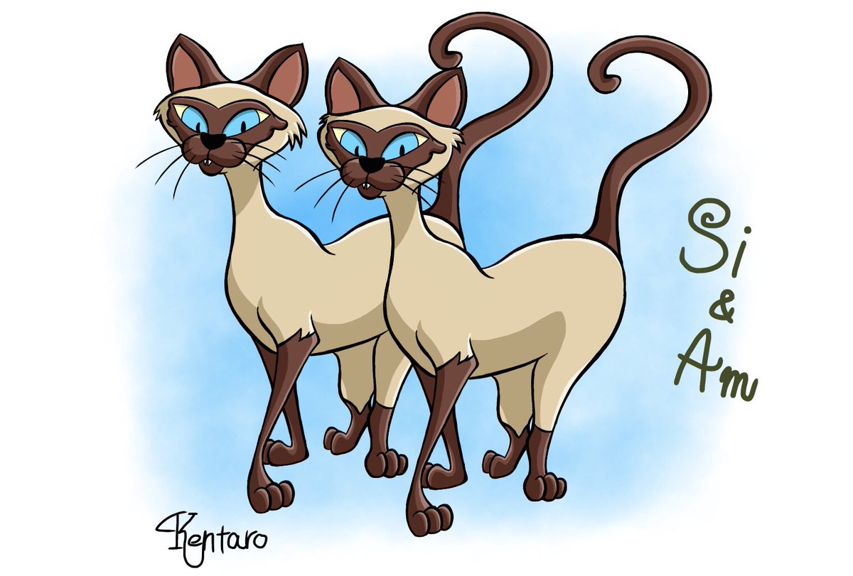 限定品☆わんわん物語 LADY＆TRAMP トランプ サイとアム シャム猫