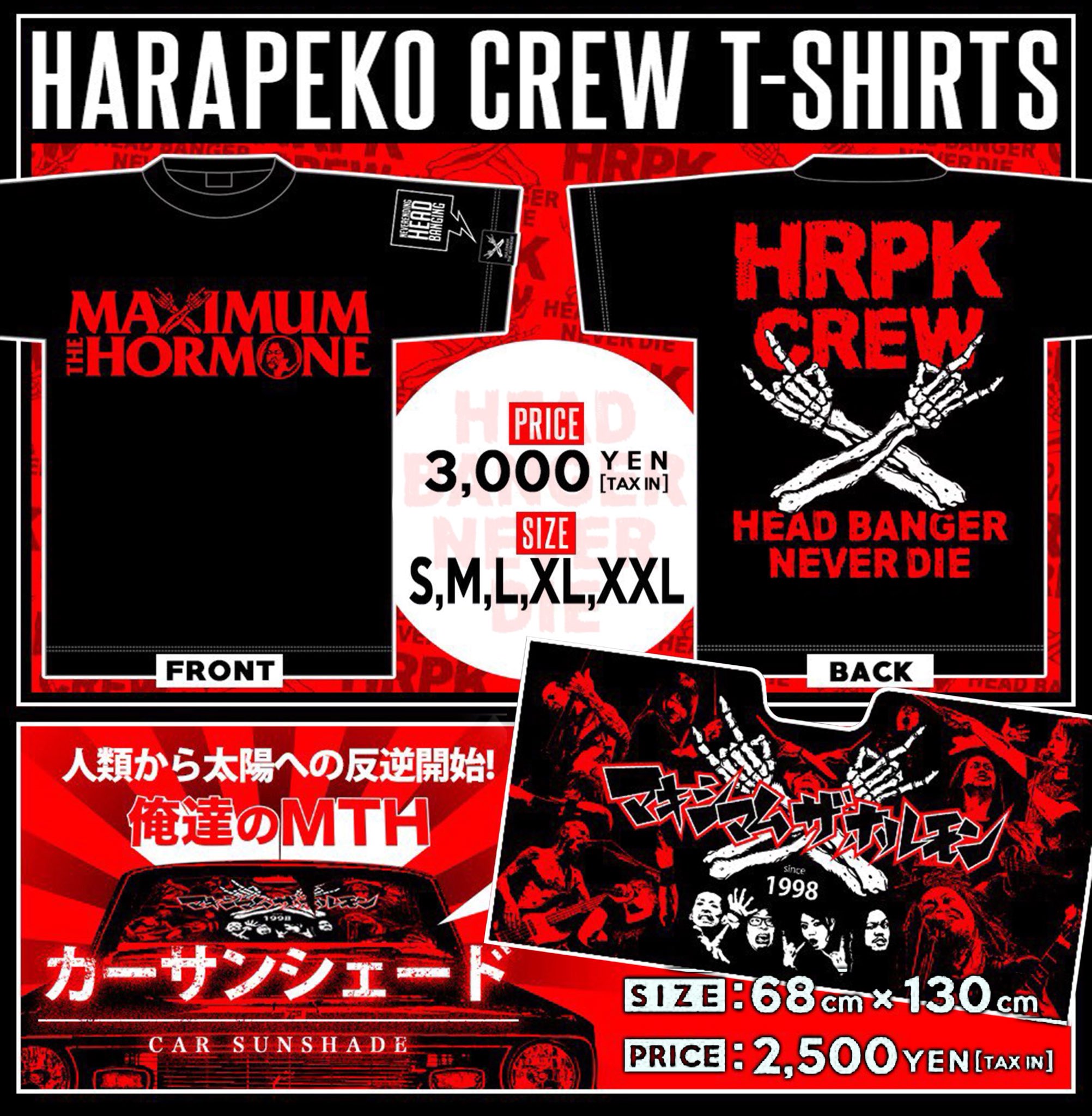 マキシマムザホルモン便所サンダル黒L チャーム、ステッカー付き