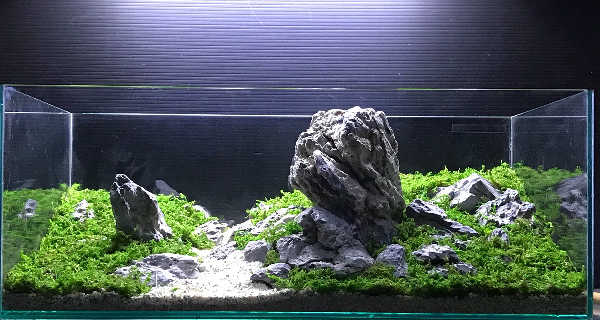 水槽、水槽台、龍王石、流木セット