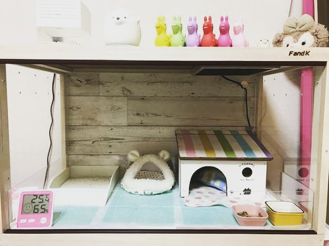 FandK爬虫類木製ケージハリネズミ仕様600×450×450 FandK爬虫類木製