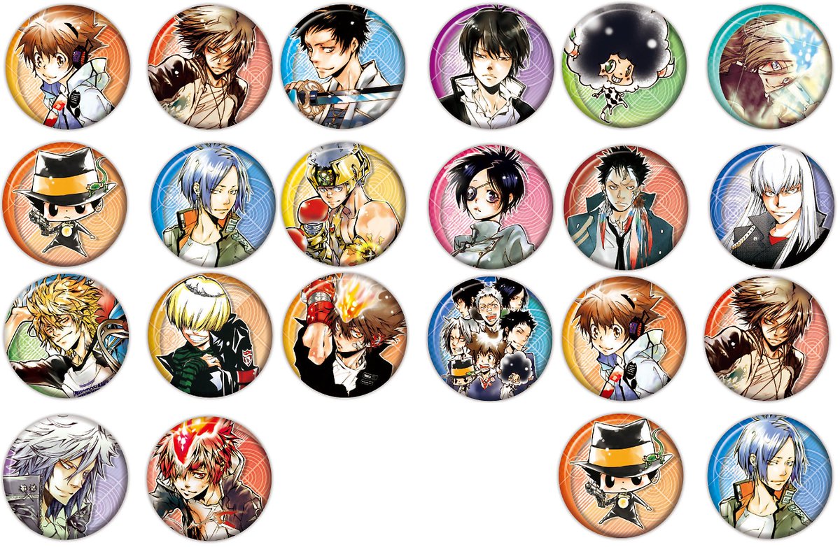 家庭教師ヒットマンREBORN コレクション缶バッジ 未開封30点セット