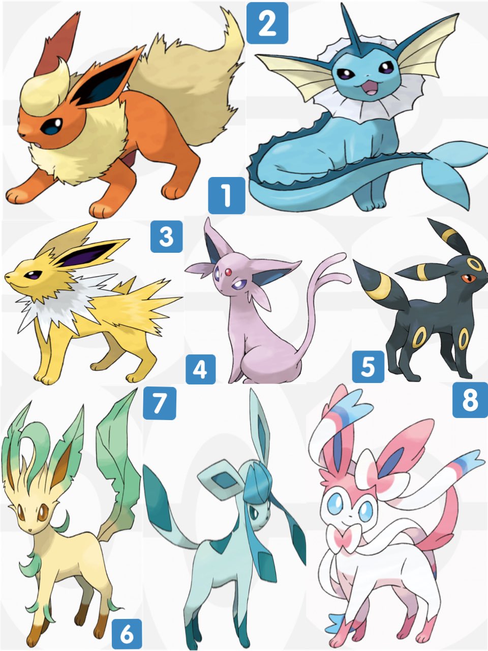 イーブイ進化セット リーフィア グレイシア キラ シャワーズ