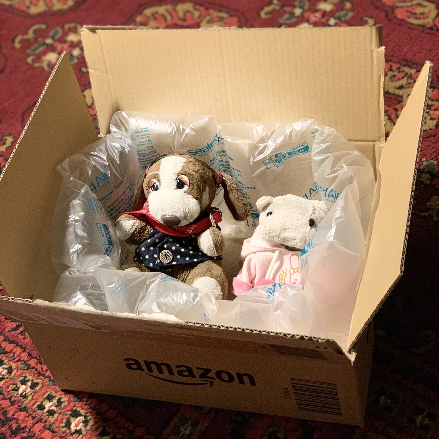 Sad Sam いぬわんたん ぬいぐるみ Sad Sam いぬわんたん ぬいぐるみ