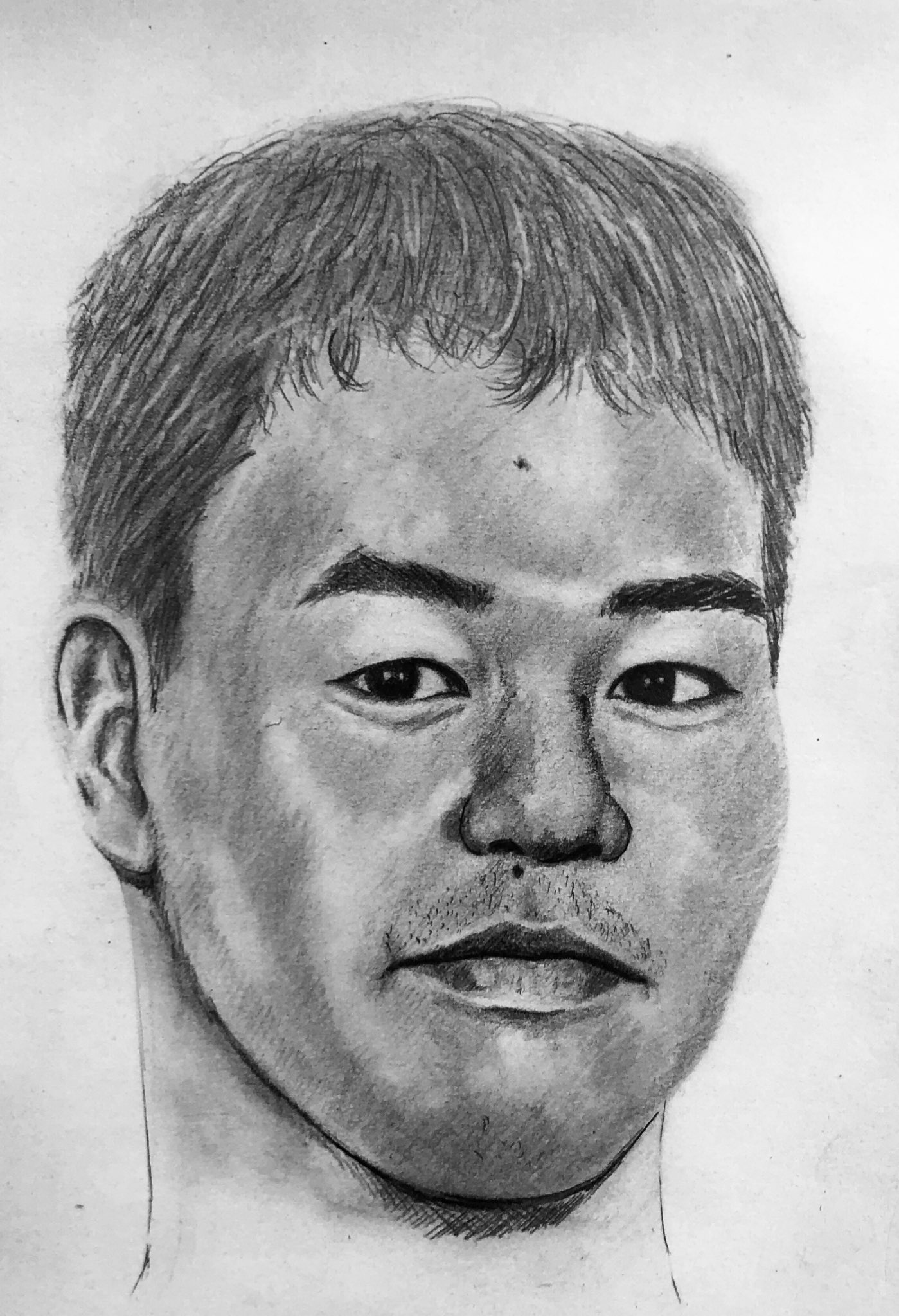 野獣先輩 水墨画