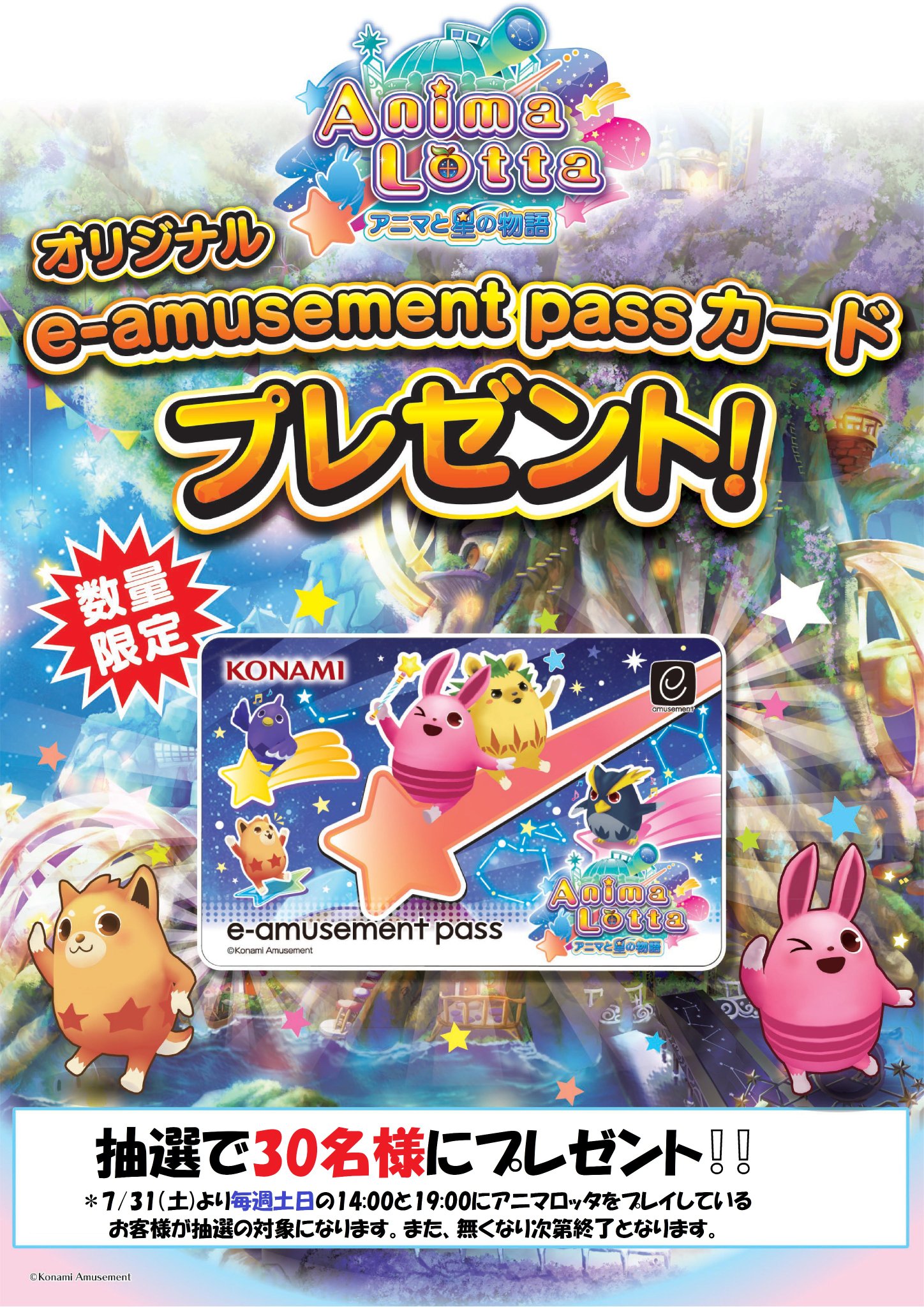 メダルゲーム 限定 e-amusement pass イーパス アニマロッタ グランド