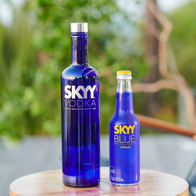 SKYY VODKA スカイウォッカ ネオン サイン 【公式通販】