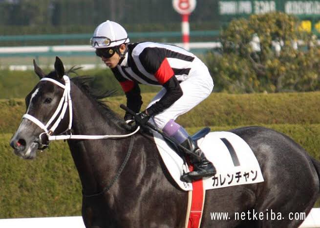 競馬 勝負服 トウショウボーイ トウショウボーイ (Tosho Boy) | 競走馬