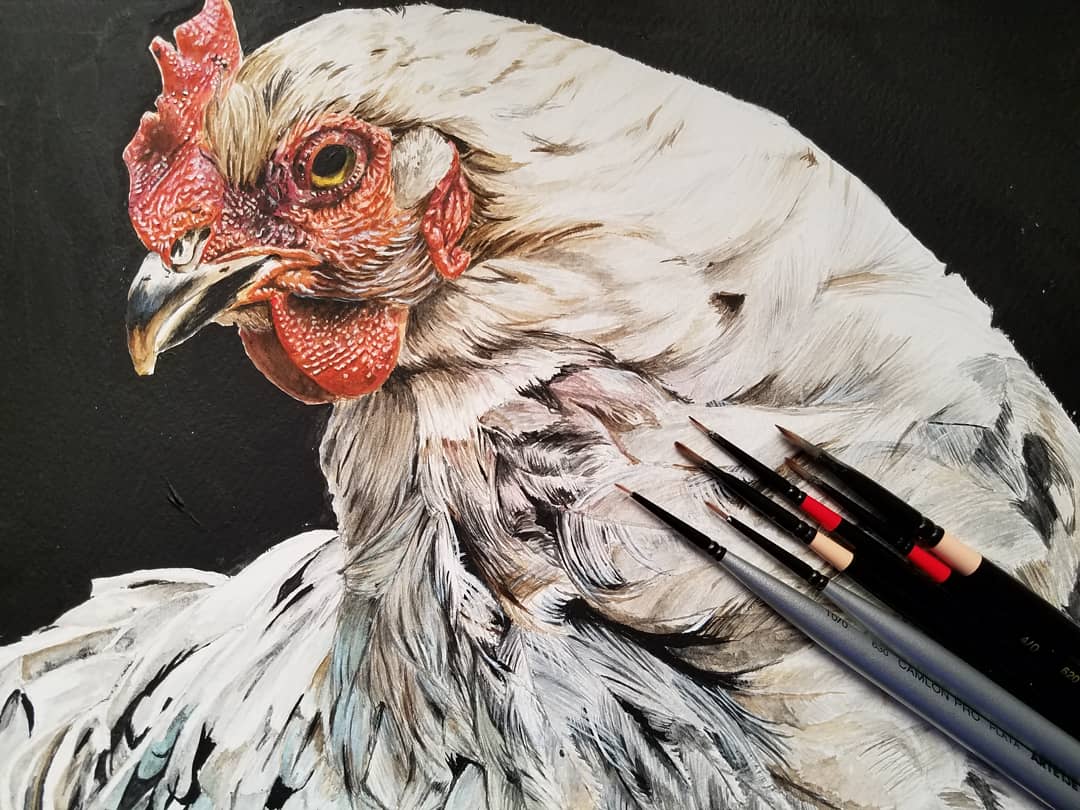 原画鶏動物画絵画肉筆画アクリル画現代アート細密画一点物