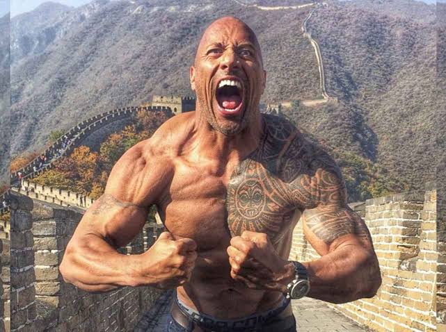 WWFザ ロック ドウェイン ジョンソン プロレス ワイルドスピード