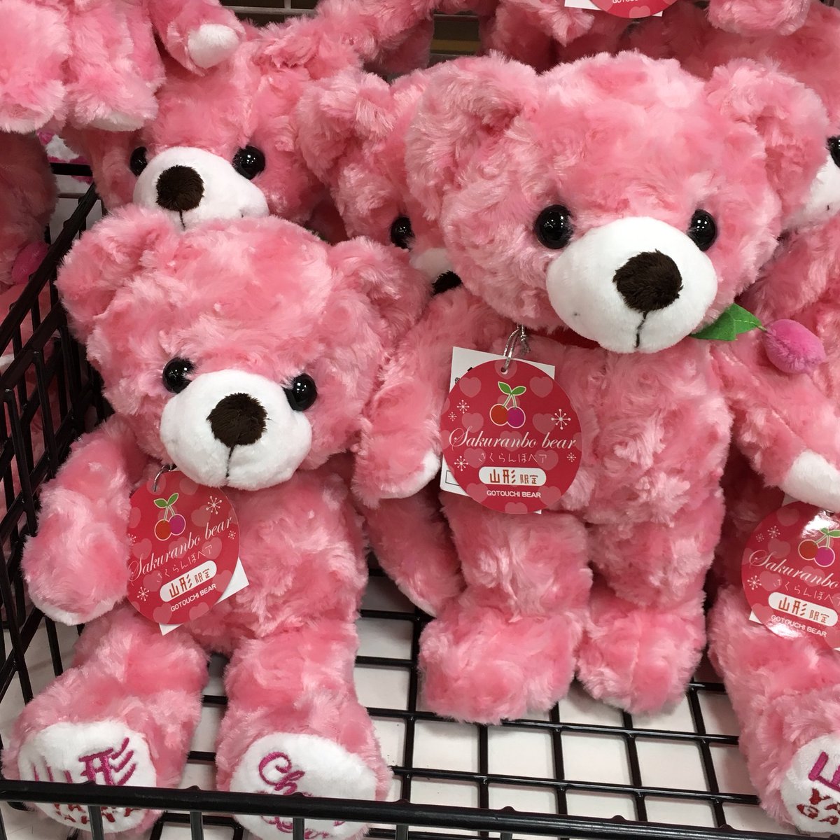 山形さくらんぼベア】 山形限定ベアを販売しております❗️ ふわふわで