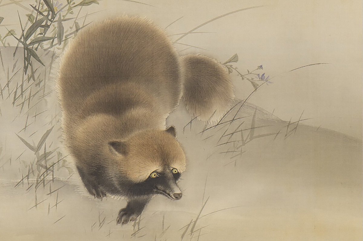 掛け軸 富田狸通 『 たぬき 』 俳句画賛 俳画 紙本 希少 茶道具 掛軸