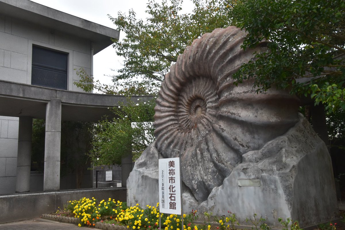 巨大アンモナイトw…＠美祢市化石館