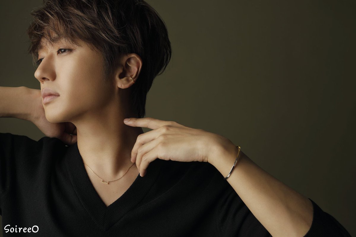 ソワレオー soireeo 西島隆弘 Nissy イヤーカフ クロス 【公式通販】