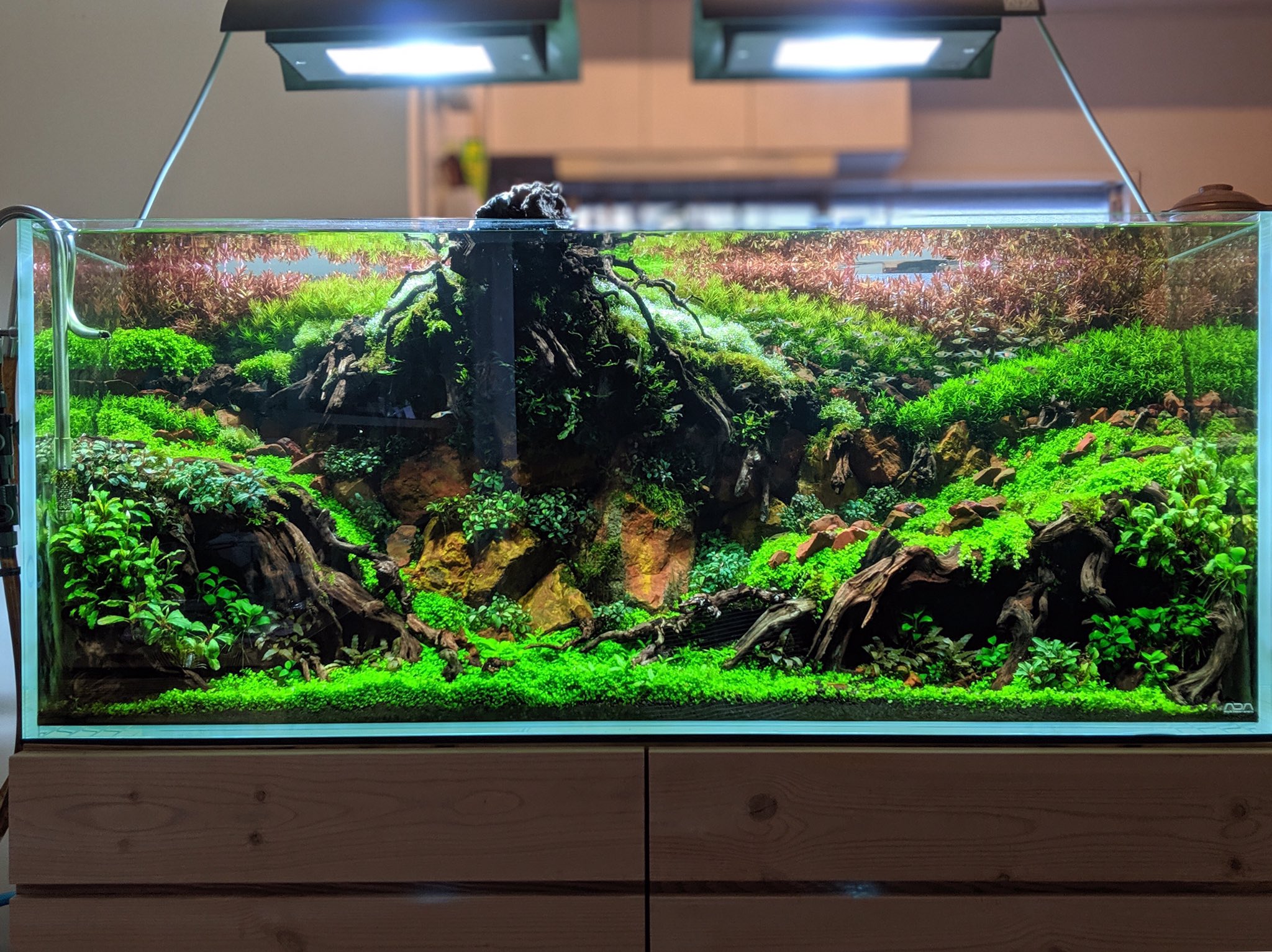 ADA キューブガーデン90 ガラス水槽 キャビネット他14点セット 引取り