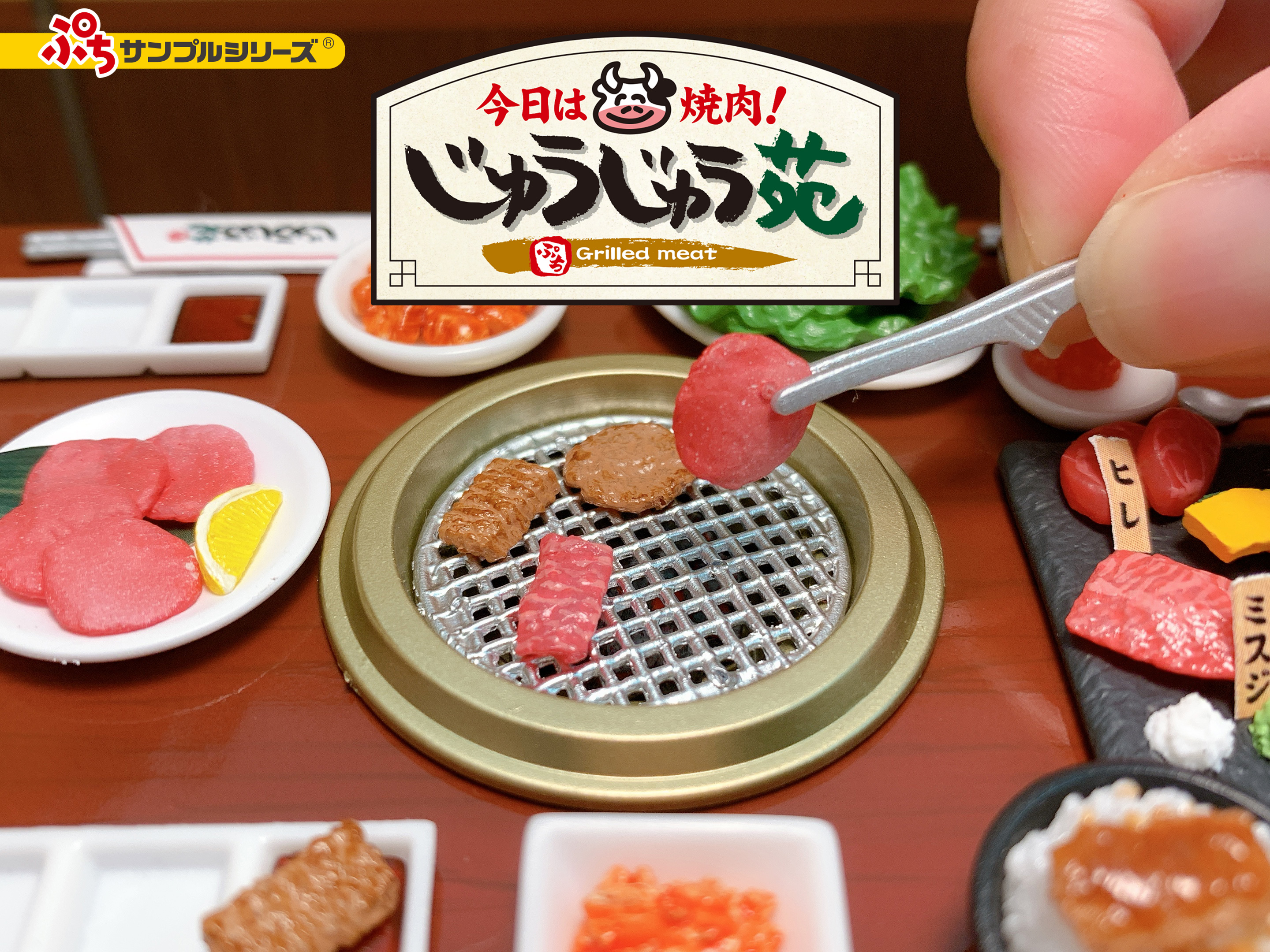 株式会社リーメント - 2月10日発売予定 【ぷちサンプルシリーズ 今日は