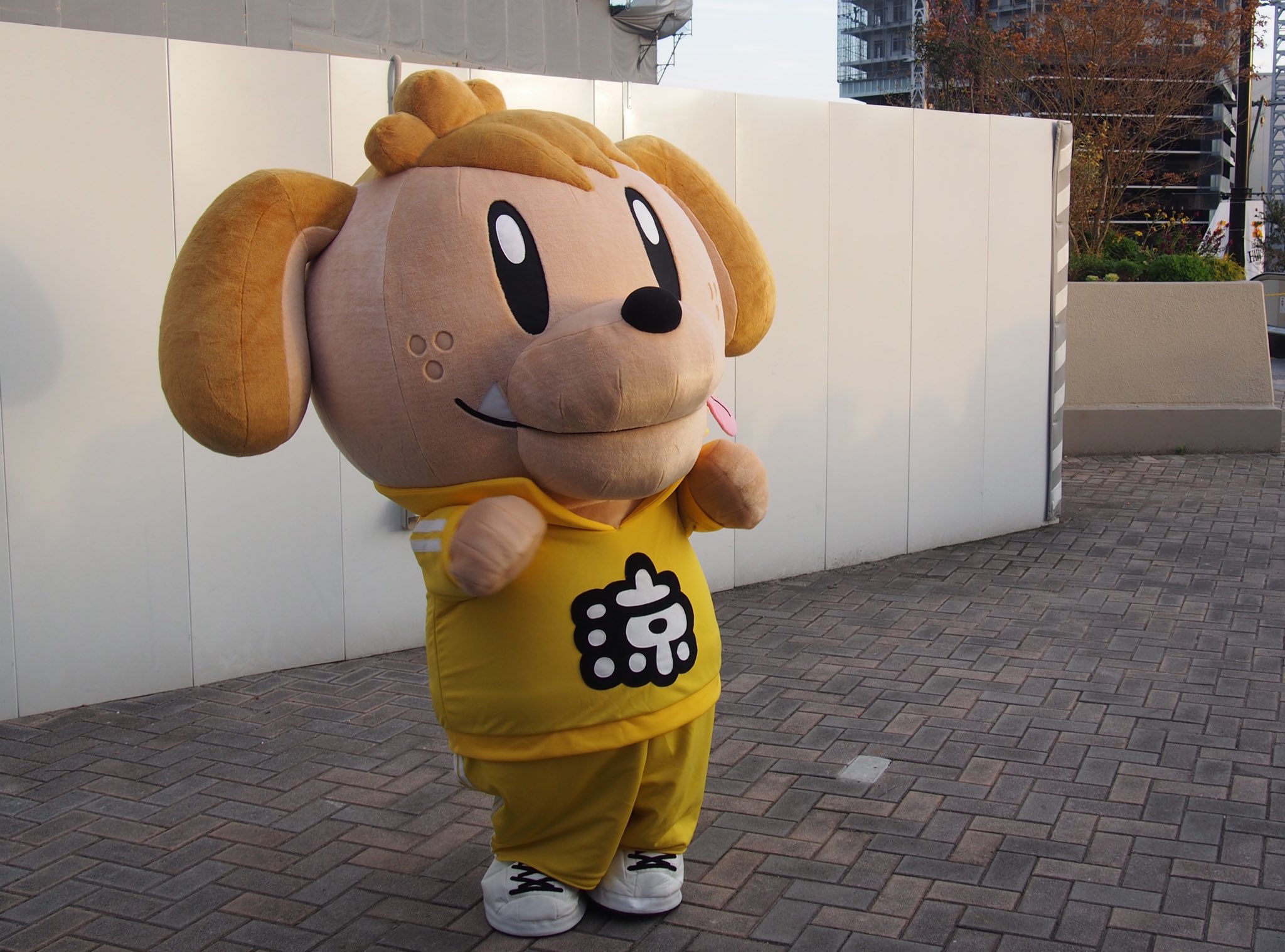 ジェネ高 ぬいぐるみ マスコット 缶メモ ナップサック 片寄涼太 ジェネ犬