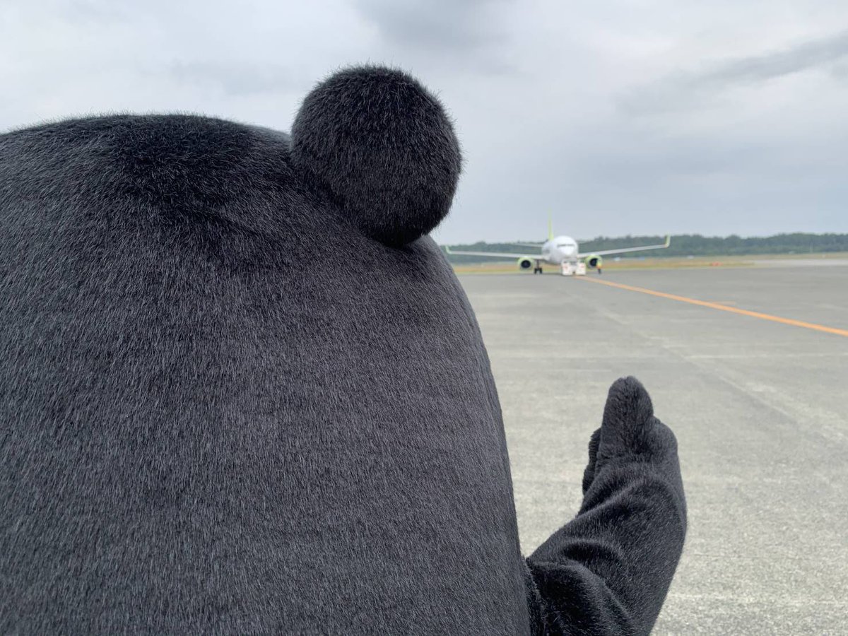 くまぞう くま くまこ クマページ EXO - * くま * LAZER ZX – EXOdesign