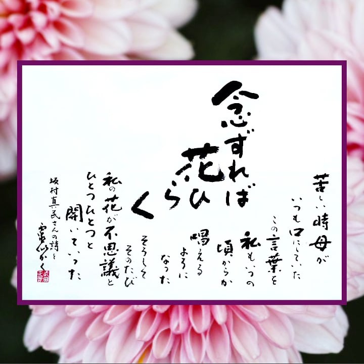 B358s 色紙額「念ずれば花ひらく」坂村真民筆 詩人 たんぽぽ堂 愛媛 砥部