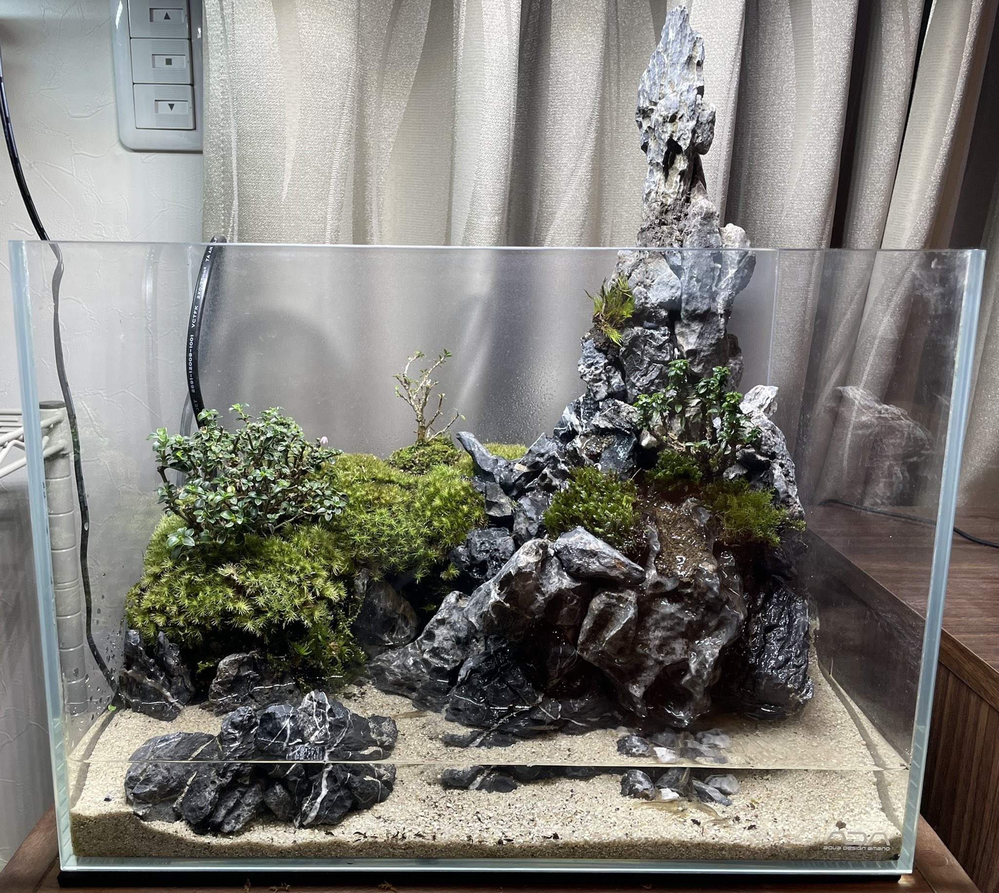 アクアテラリウム完成品】 滝のあるテラリウム パルダリウム