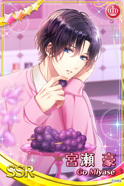 スタマイ 宮瀬豪 メモリアルカード まとめ売り スタマイ 宮瀬豪