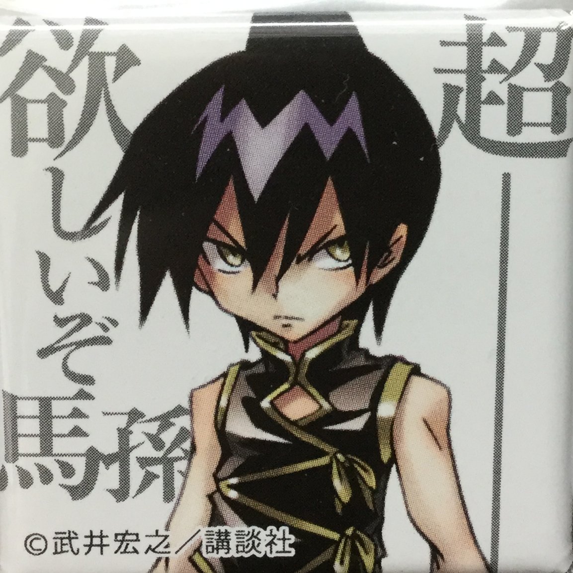 シャーマンキング 道蓮 ホロホロ 道蓮 /ホロホロ 超・占事略決