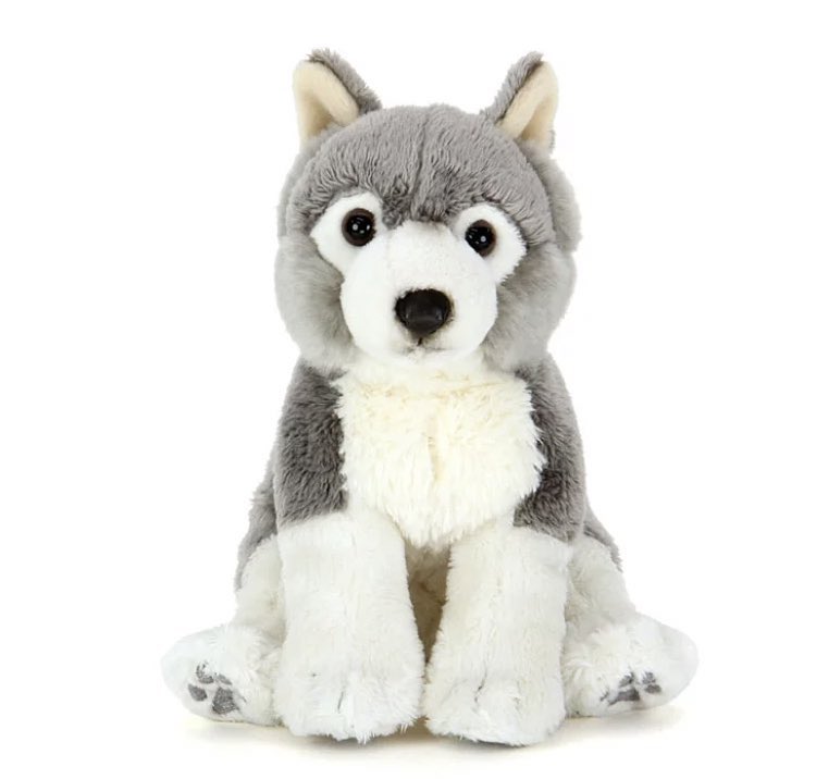 THE RAMPAGE 川村壱馬 ぬいぐるみ かなこ👊🏻 on X: 