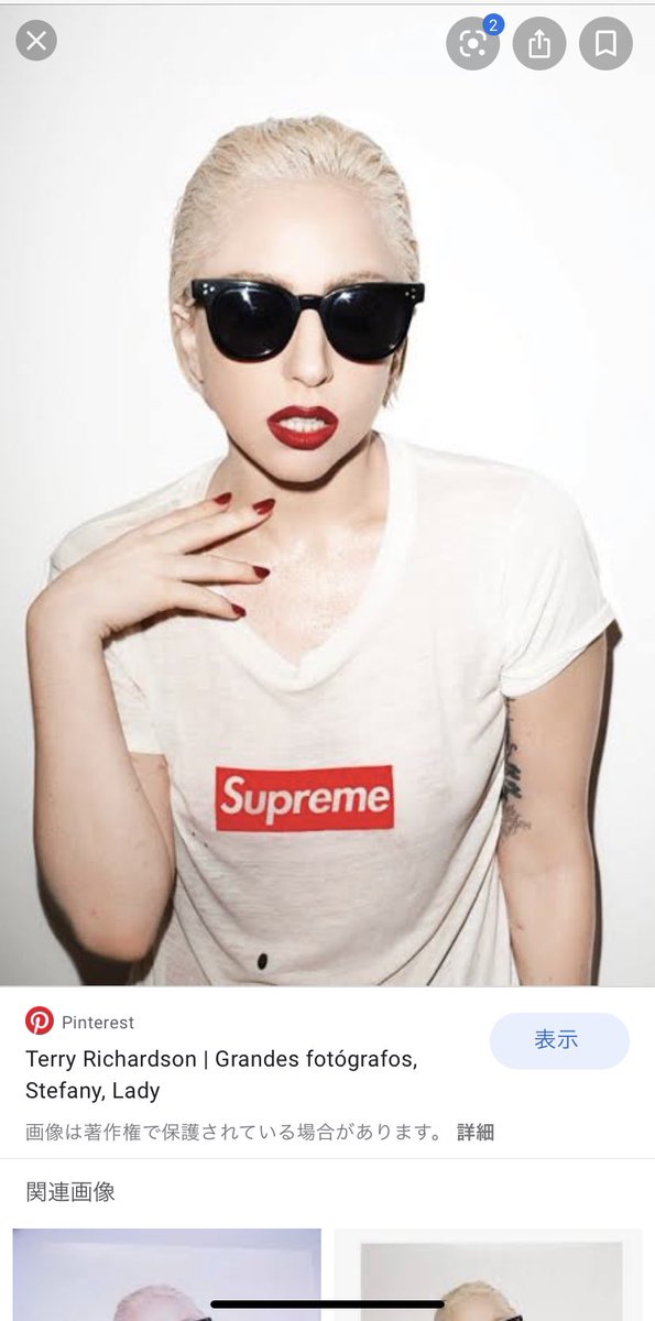 おれはテリーリチャードソンという写真家が大好きなんです supremeを