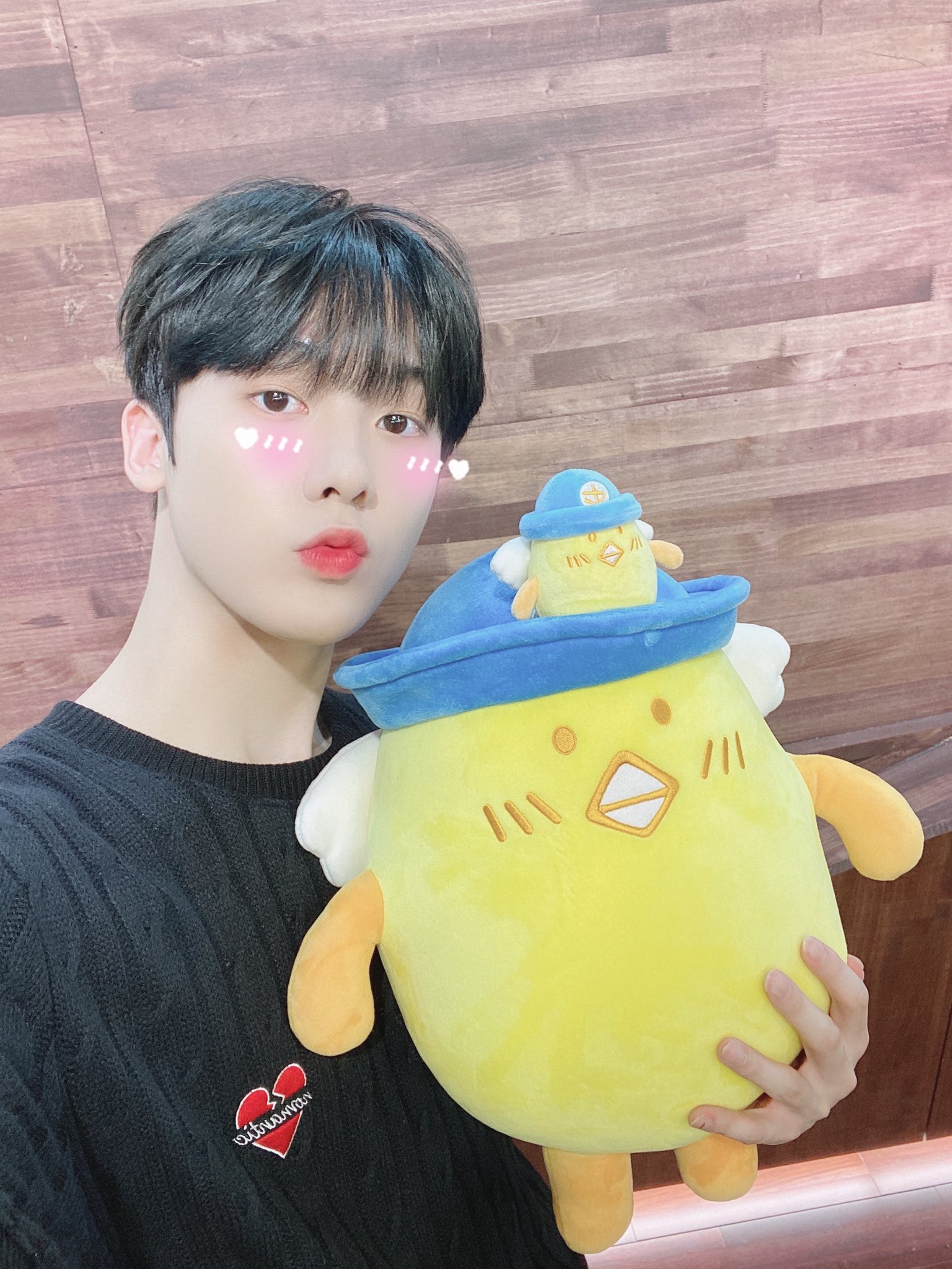 ASTRO✩ROROHA✩チャウヌ✩ヌンヌぬいぐるみ大 ASTRO チャウヌ ヌンヌ