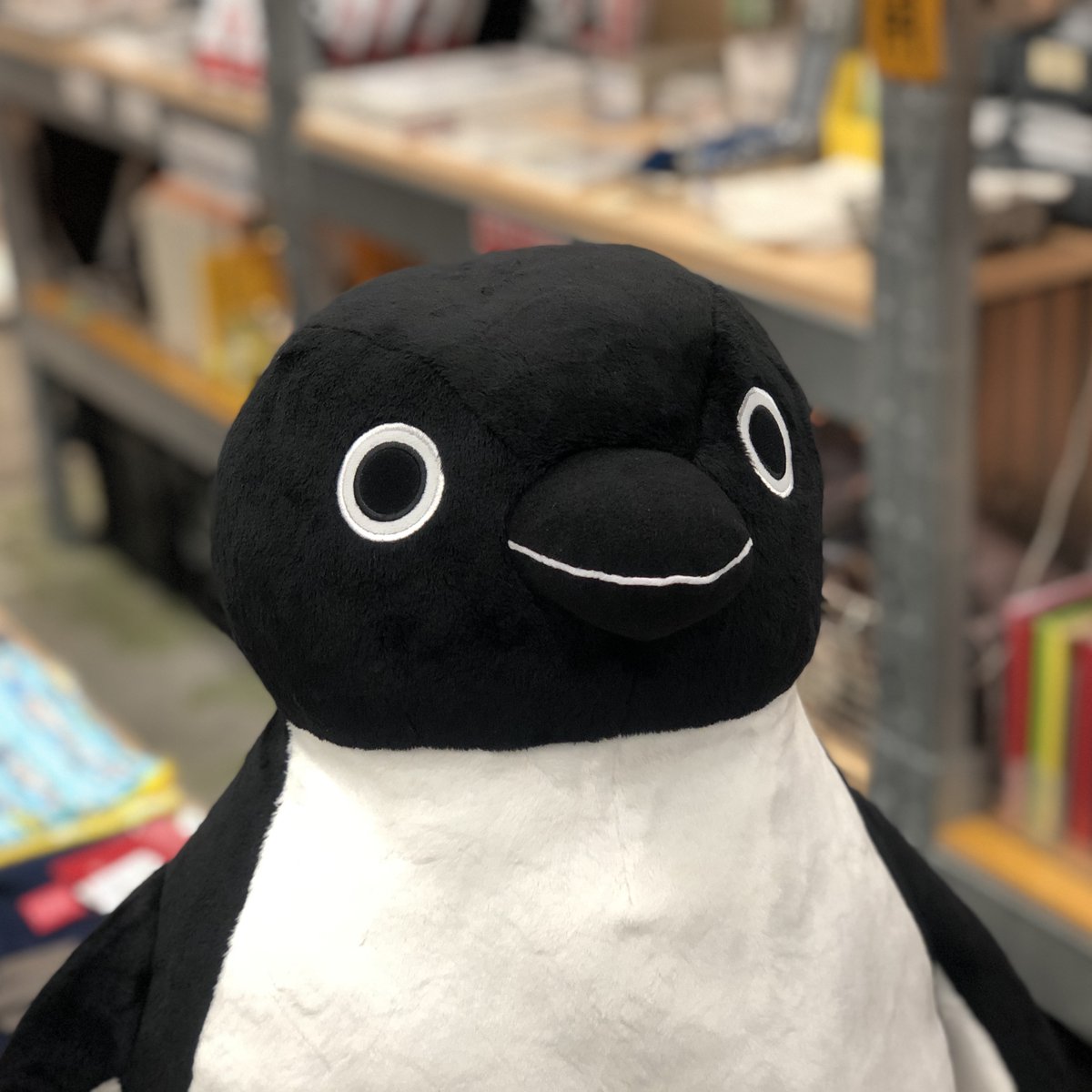 高さ約70cmのXLサイズ！『Suicaのペンギン ぬいぐるみ (￥12000+税