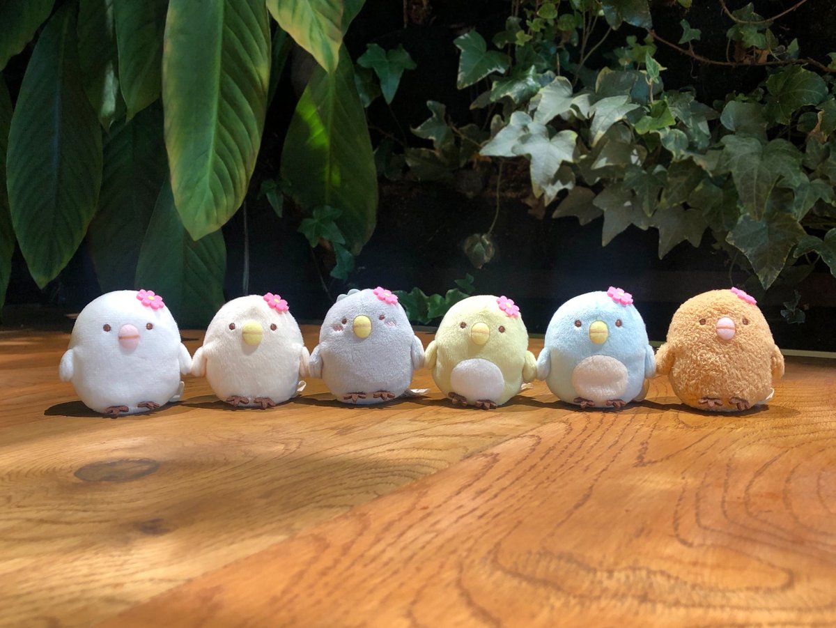 大変お待たせしました！ 「ひよこ？たち大集合BOX」及び「ひよこ？付き