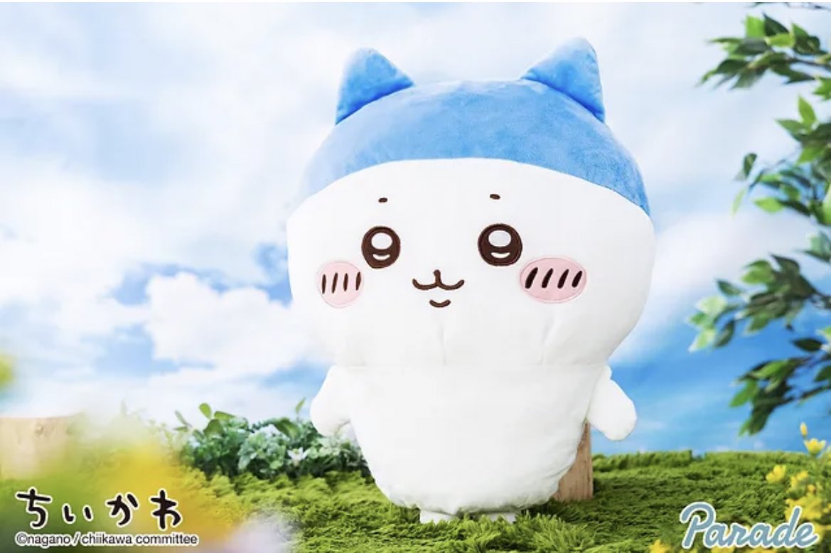 🌟プライズ情報🌟 『ちいかわ スポーツ刈りなハチワレ BIGぬいぐるみ