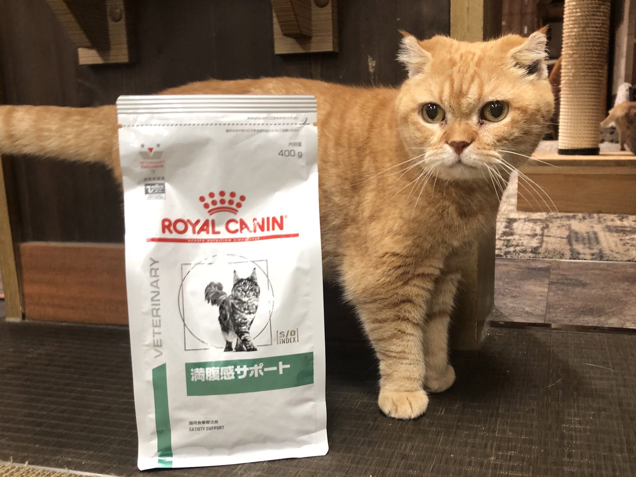 ユリナリーS/O CLT 2kg ✖️2袋 ロイヤルカナン ROYAL CANIN