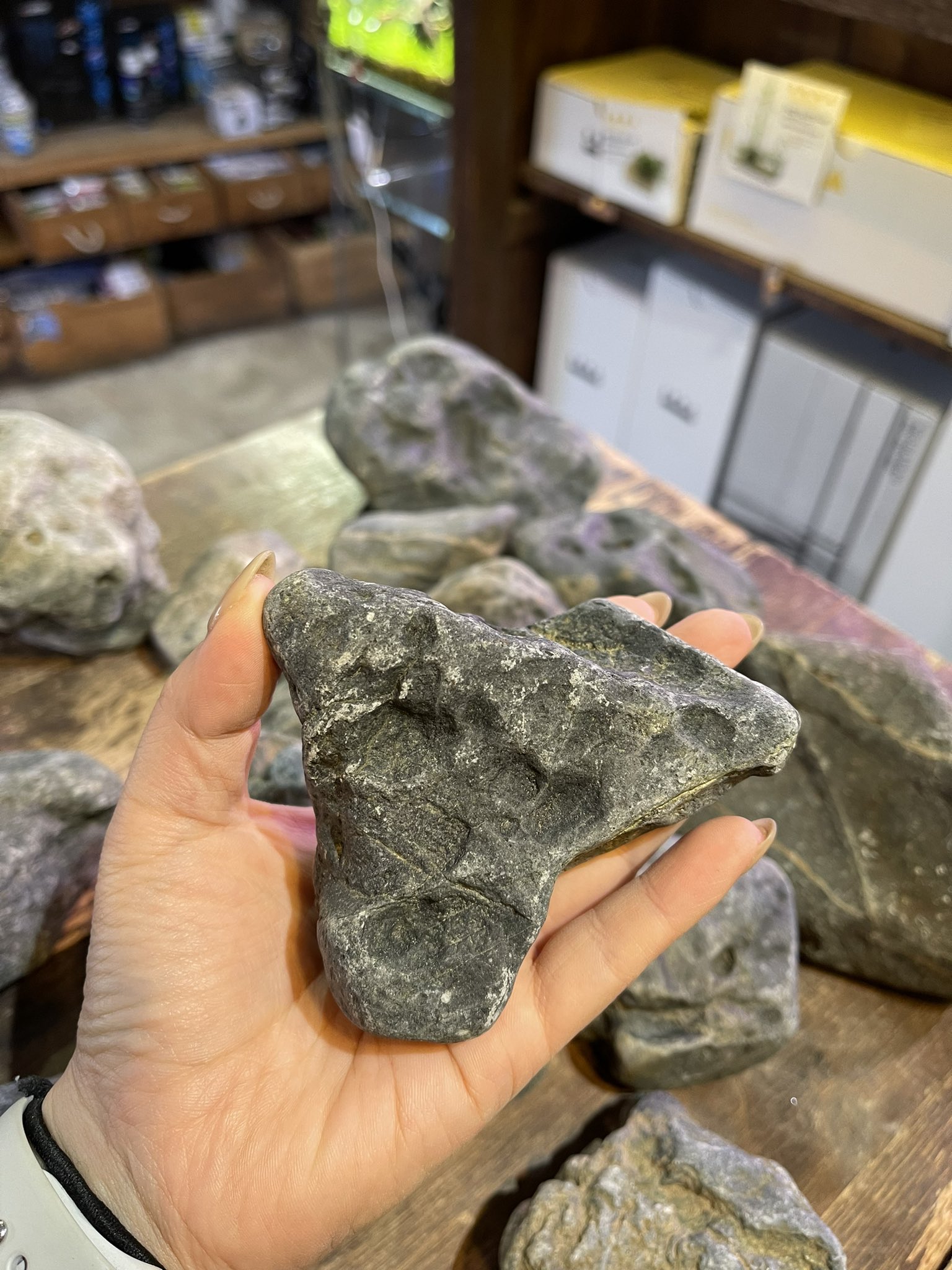 ジャグレストーン 8kg ada dooa ジャグレストーン 8kg ada dooa 新