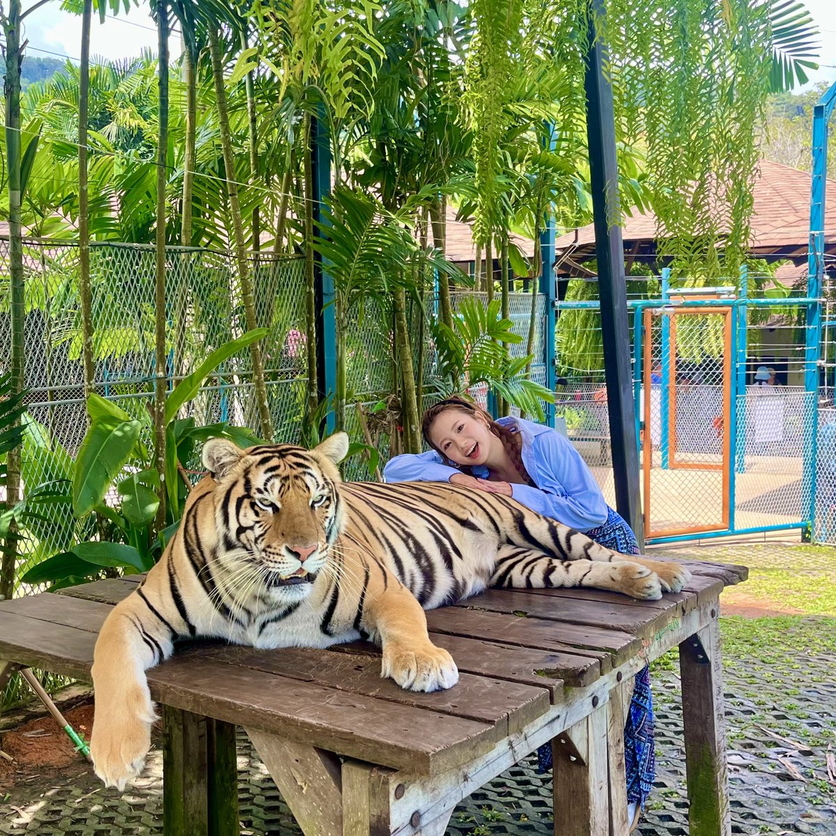 𝟙𝟙.𝟙𝟙 ⁡ 誕生日を迎えました✌︎ 念願のジャスミンになれて最強な1