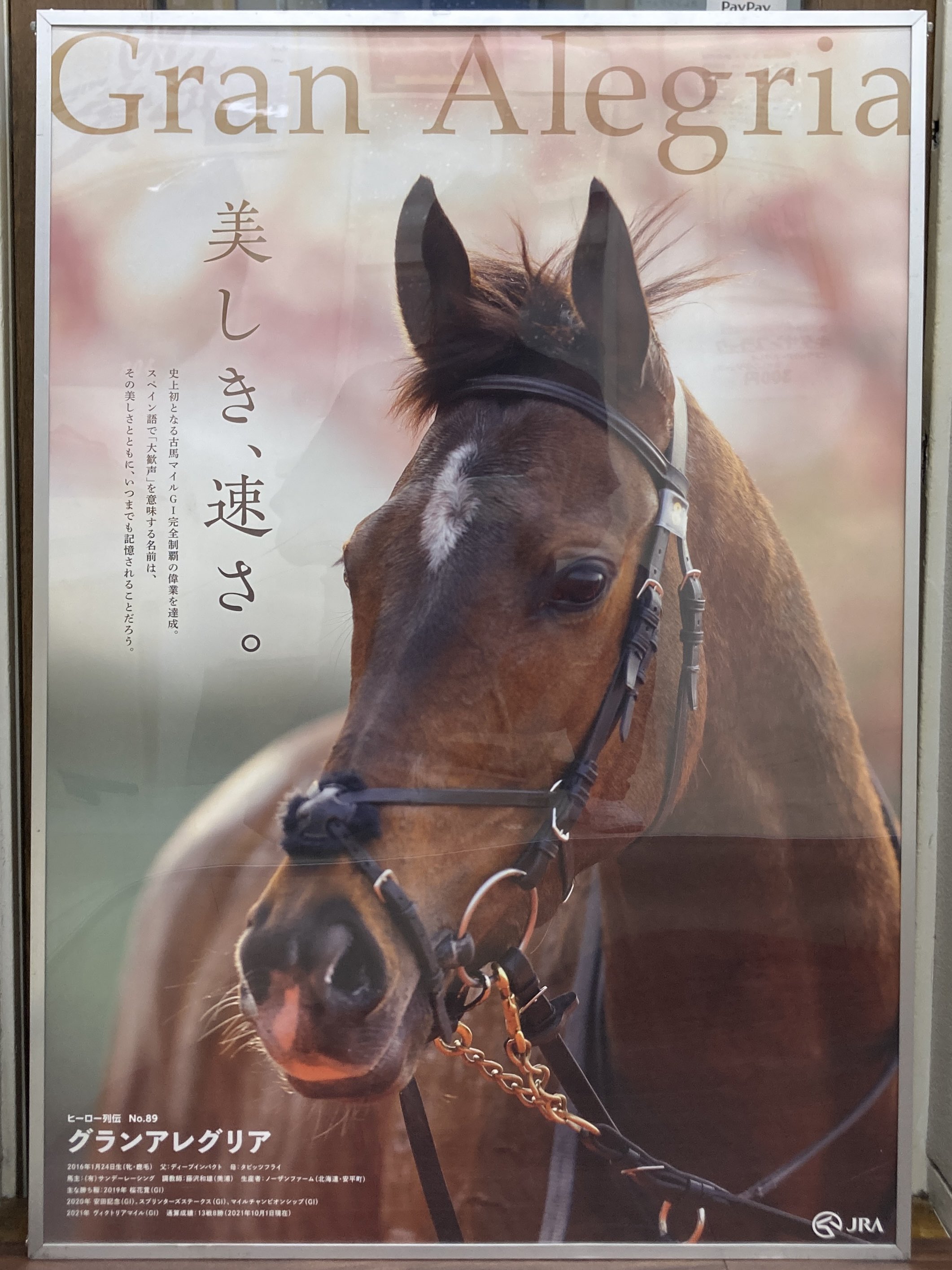 JRA ヒーロー列伝 NO.24〜31 ポスター オグリキャップ含む人気馬8枚