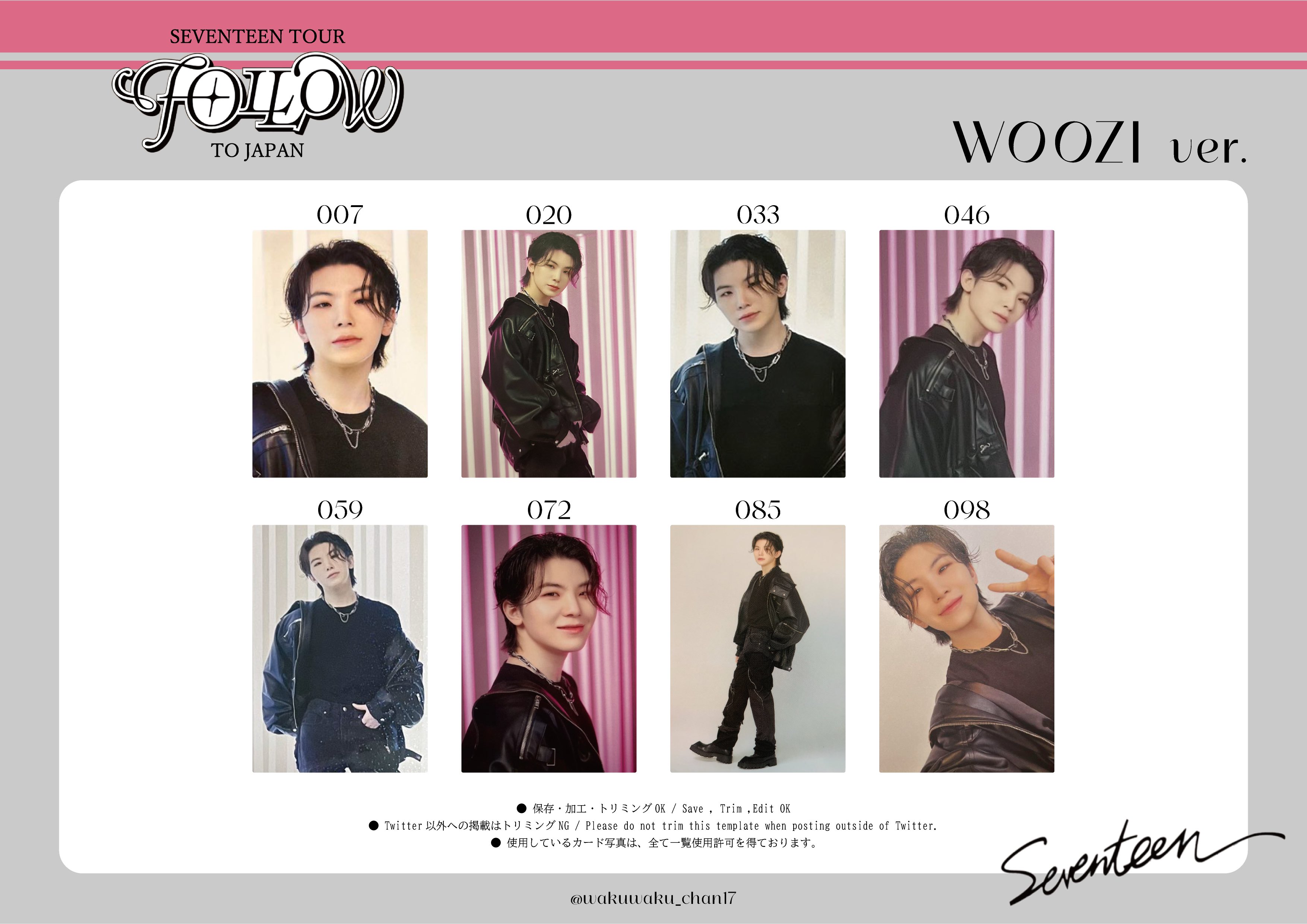 SEVENTEEN BETHESUN ラピート メモリアルカード ウォヌ トレカ