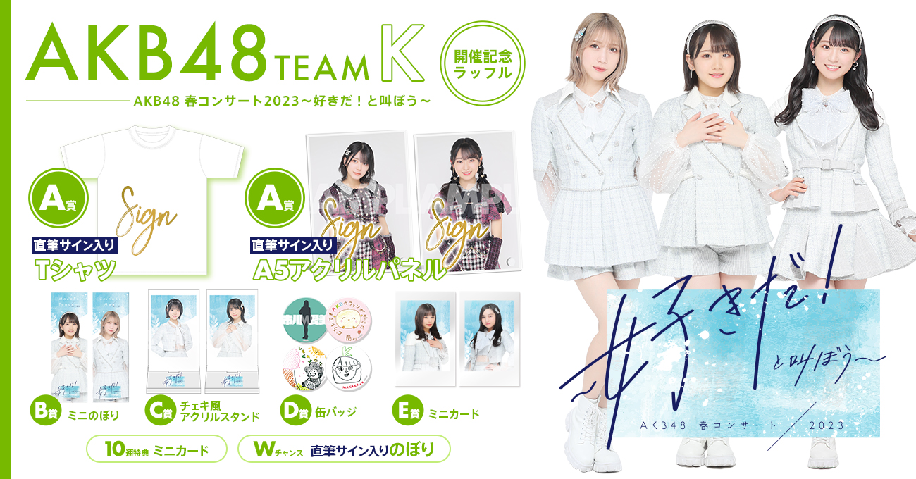 AKB48 チームB 直筆サイン入りTシャツ ファイナルコンサート2023 AKB48