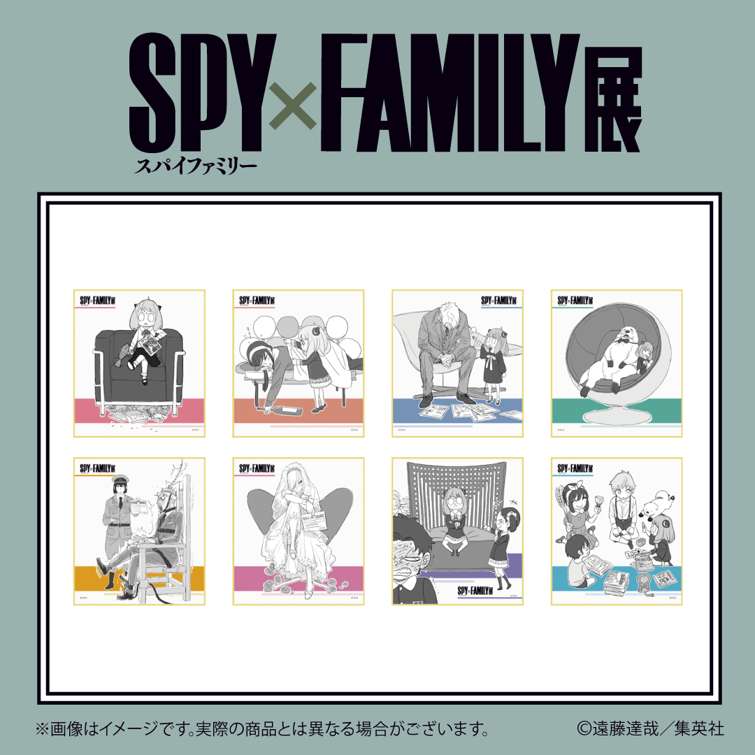 SPY×FAMILY展 複製原画 SPY×FAMILYスパイファミリー展描き