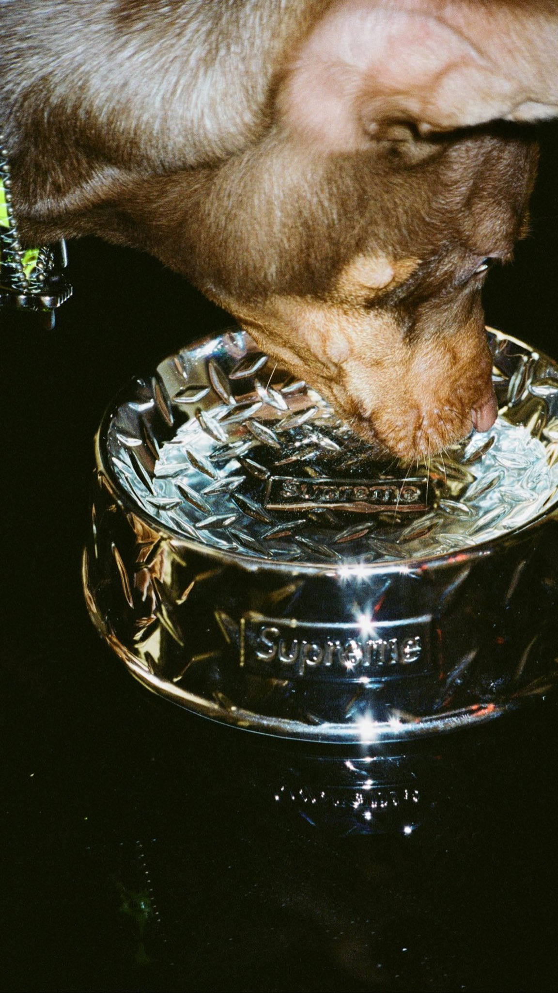 Supreme Diamond Plate Dog Bowl