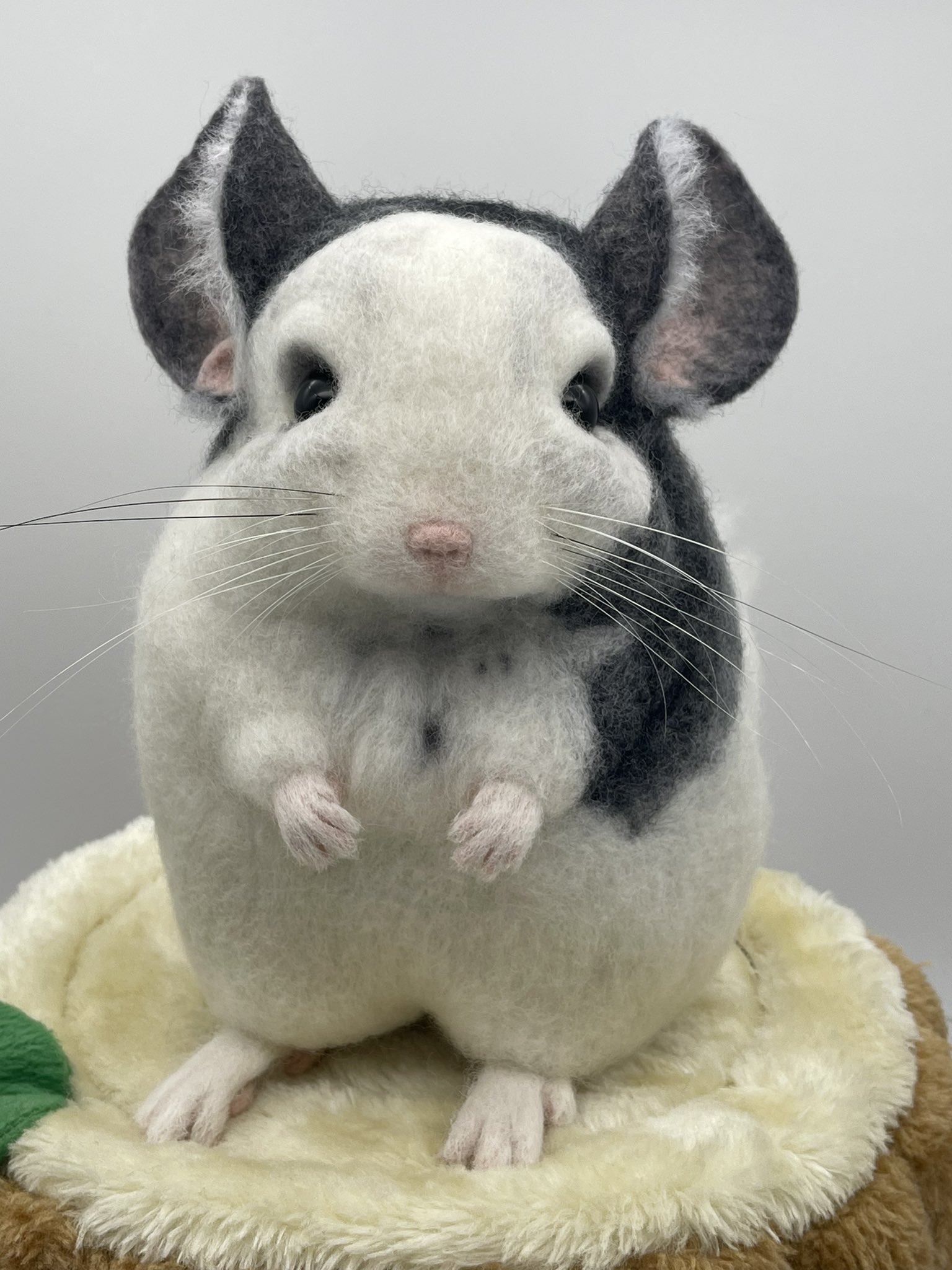 羊毛フェルト チンチラ オーダーメイド