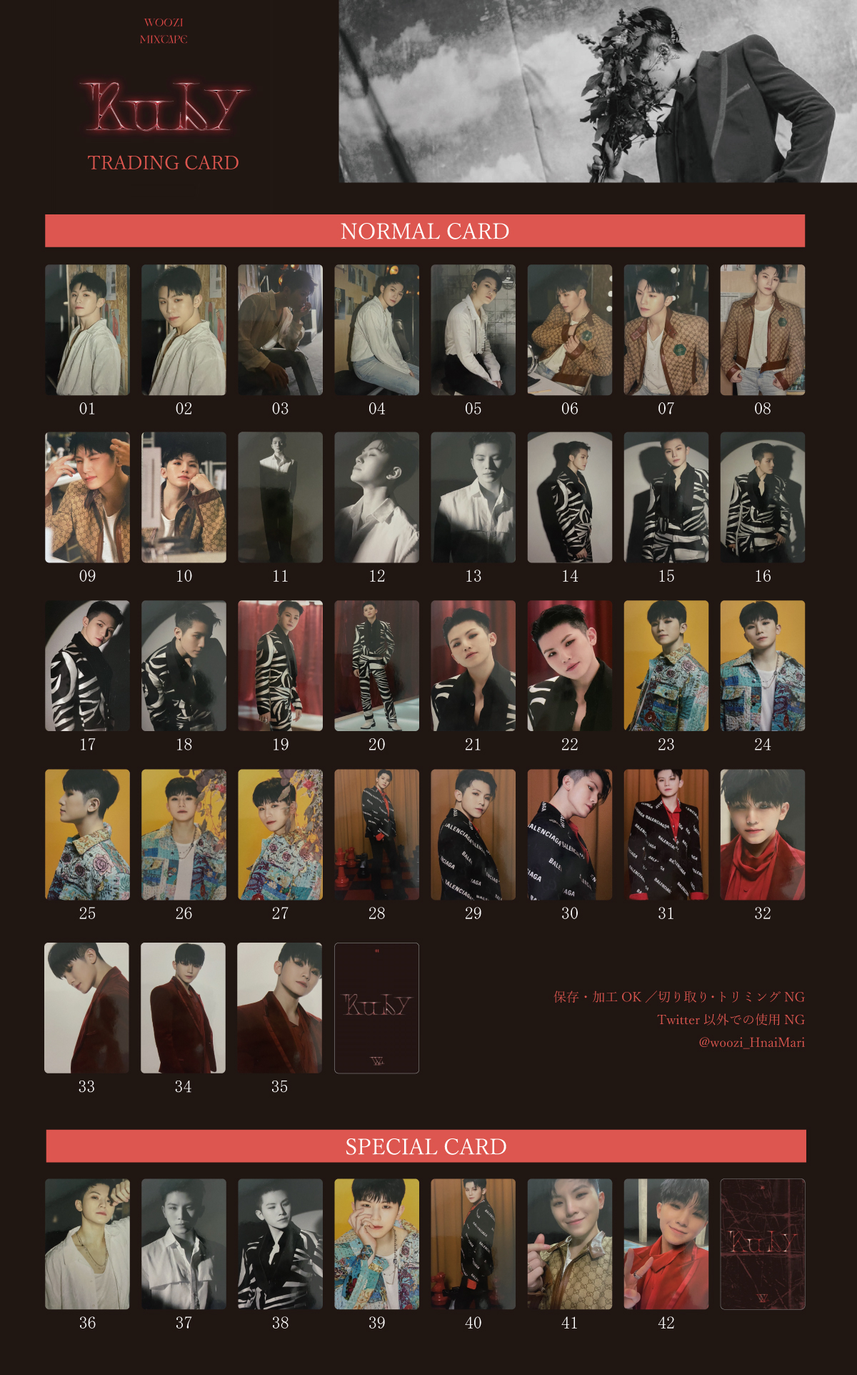 SEVENTEEN Ruby ウジ トレカ コンプリート