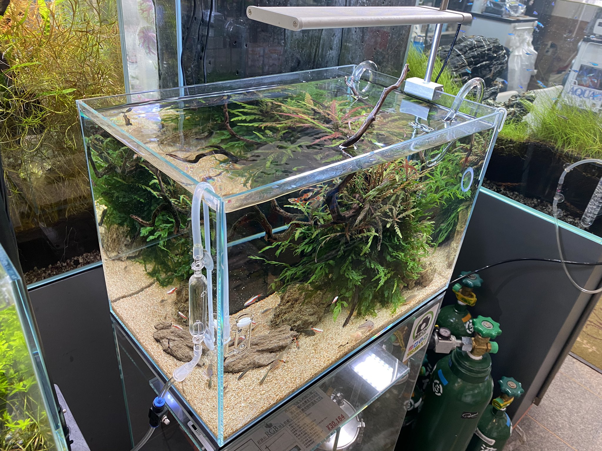 DOOA ソルスタンドRGB