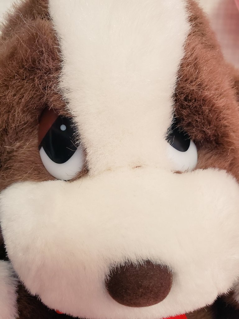 Sad Sam いぬわんたん ぬいぐるみ Sad Sam いぬわんたん ぬいぐるみ