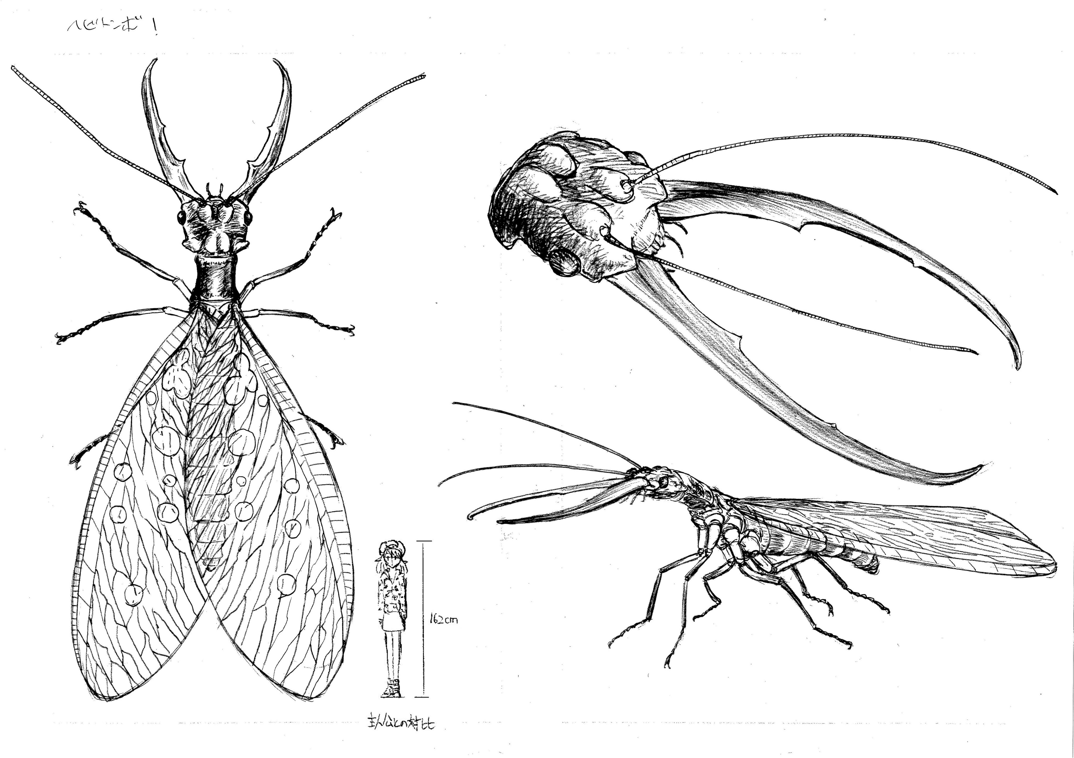 中国産 巨大ヘビトンボ 164mm 中国産巨大ヘビトンボ 中国で世界最大の