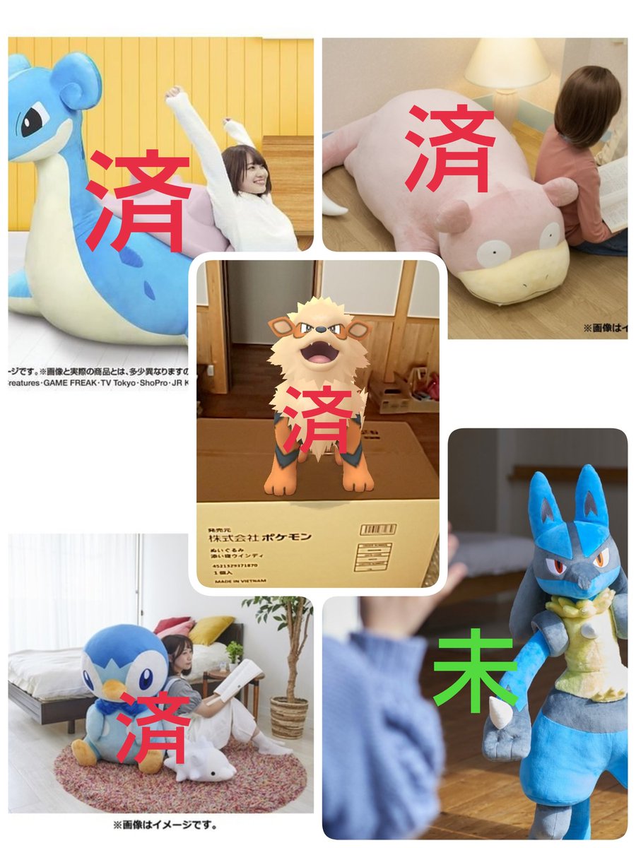 添い寝 ウインディ 」のぬいぐるみが到着していました。残るは等身大