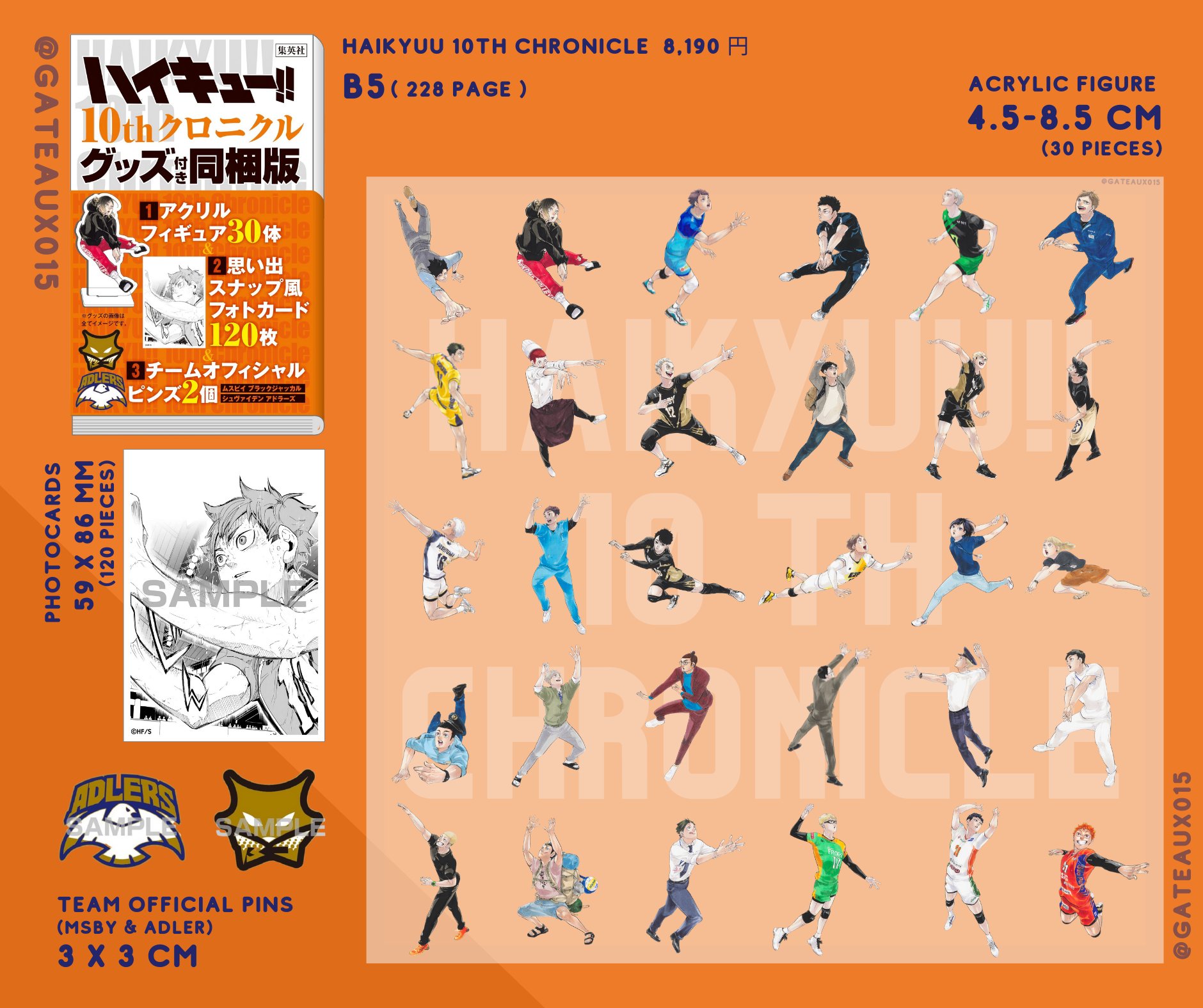 ハイキュー!! 10thクロニクル グッズ付き同梱版 卸売 通販