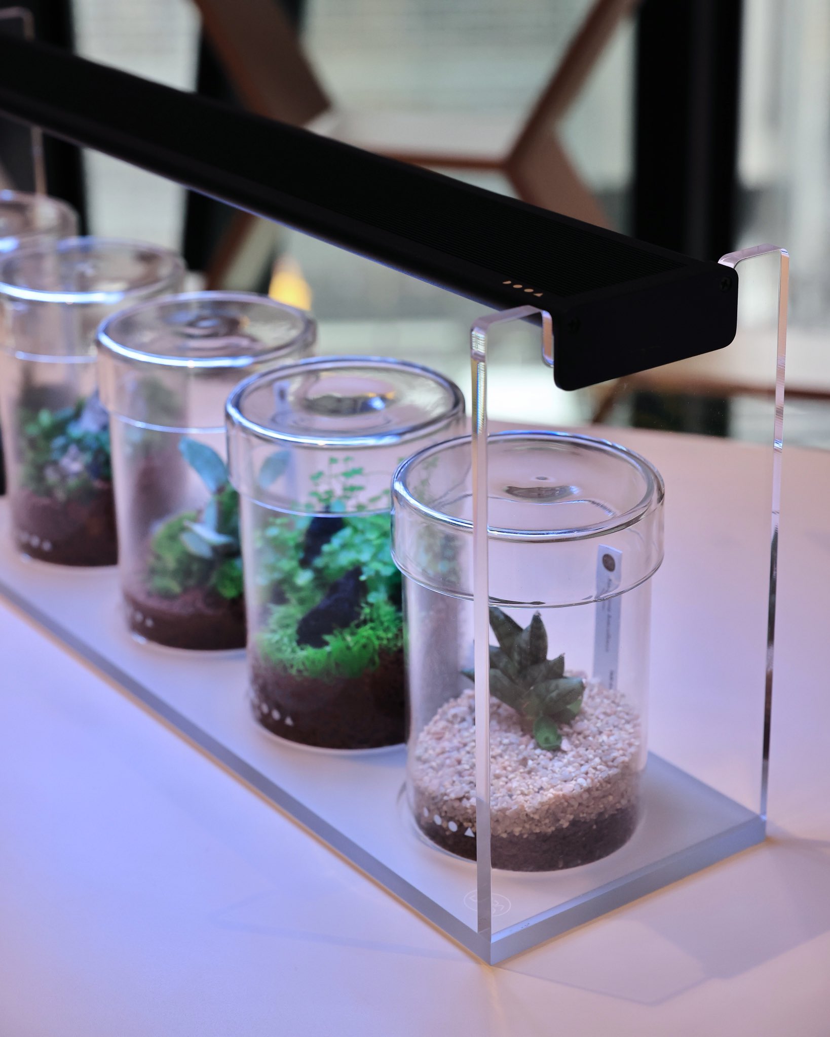 生産終了】ADA ガラスポットMARU 展示スタンドセット30cm