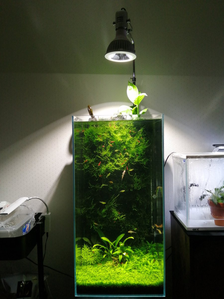 アクアシステム クリスティ 3060 特別