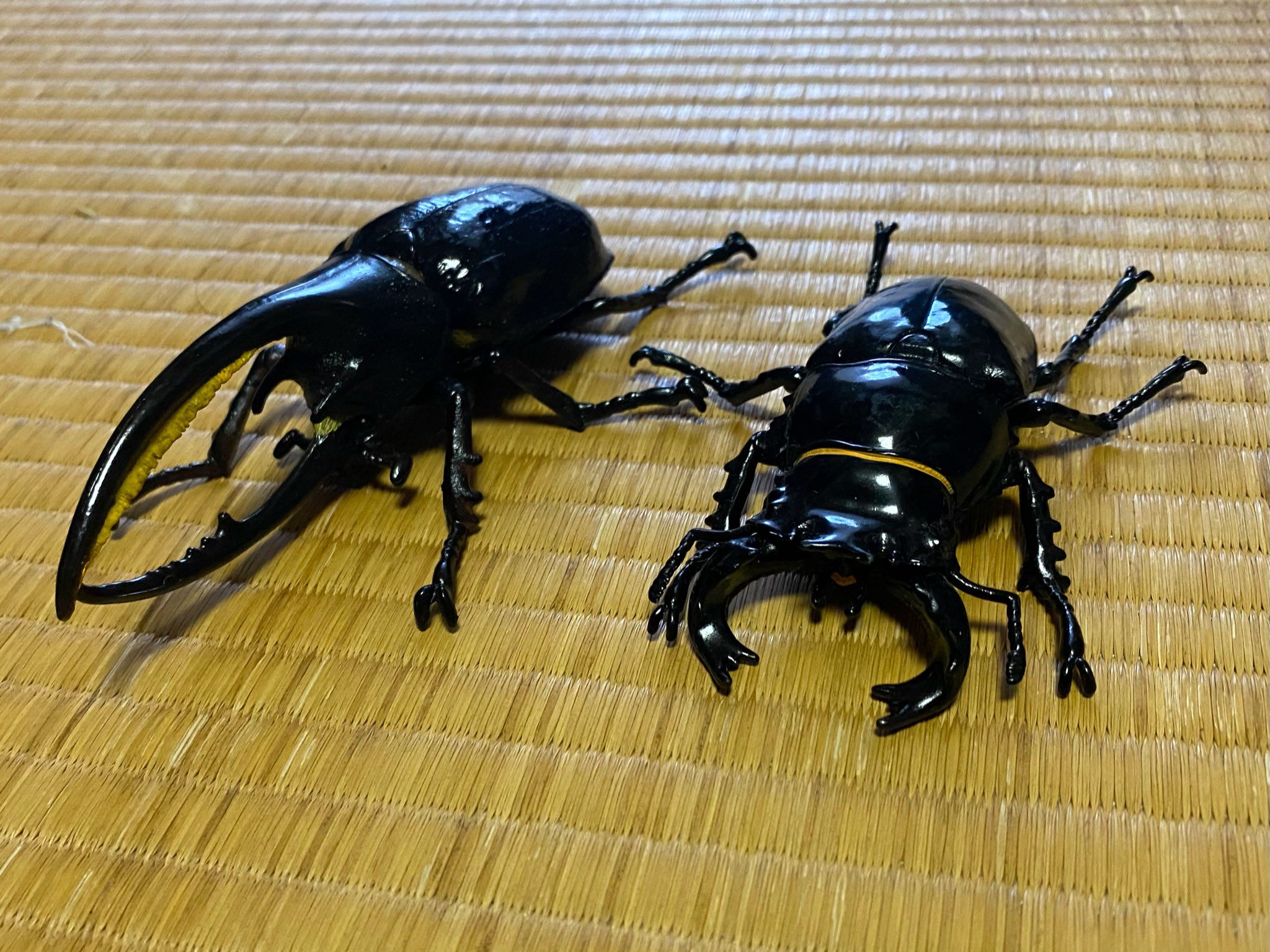 ダイオウヒラタクワガタ アダー完結編3弾 ムシキング アダー完結編