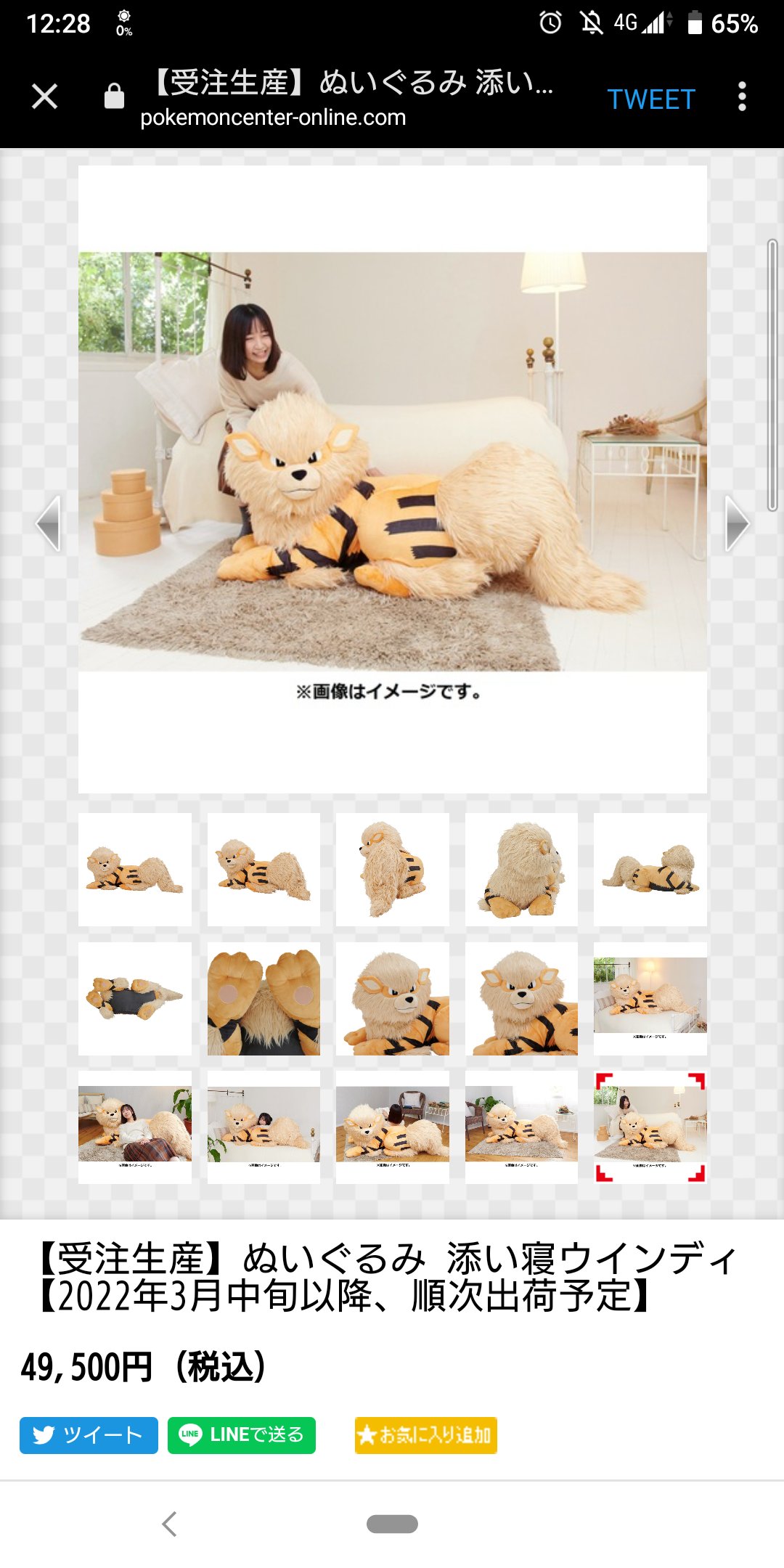 ぬいぐるみ 添い寝ウィンディ(お値下げ可) 添い寝ウインディ 値下げ応